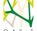 Prochaines activités d’Oasis