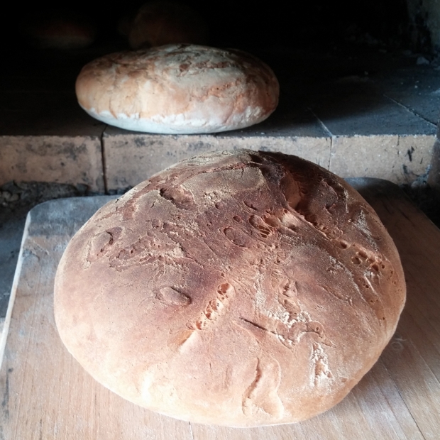 Atelier de fabrication de pains et pizzas au levain