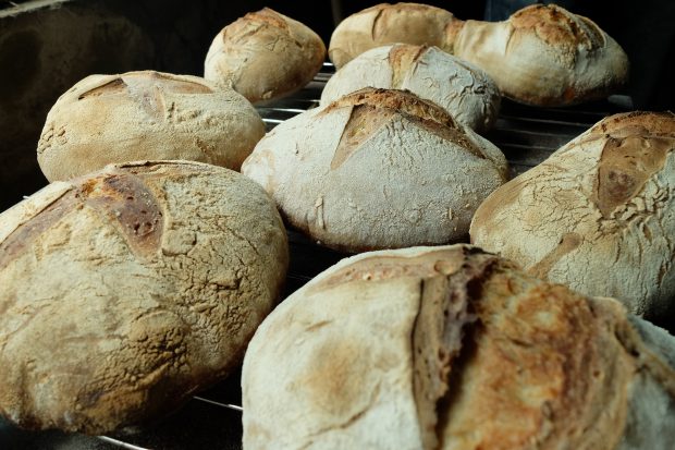 Atelier fabrication pains au levain
