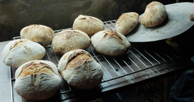 Fabrication de pain au levain