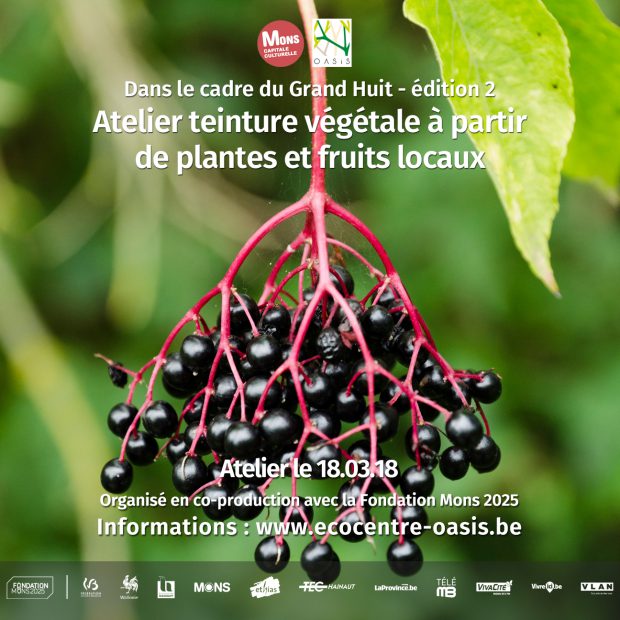 Atelier teinture végétale à partir de plantes et fruits locaux