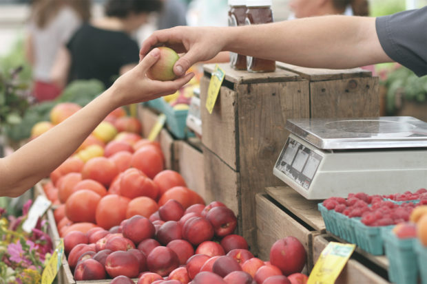 Créer une ceinture alimentaire à Mons-Borinage, utopie ou réalité ?
