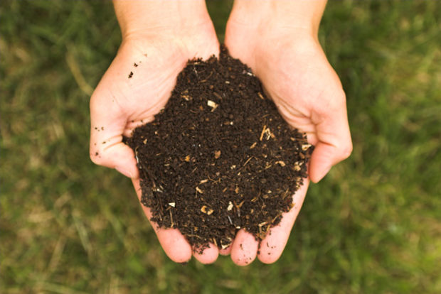 Composter sans se planter ! Initiation à la pratique du compostage et partage d’expériences