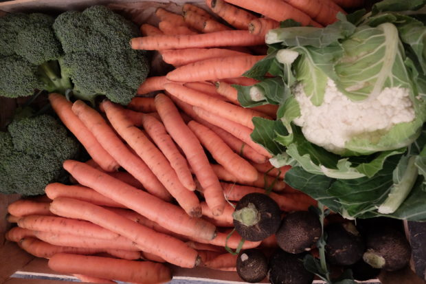 Conservation de légumes locaux et de saison en tartinades et lacto-fermentation