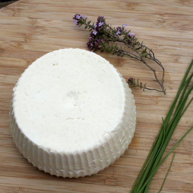 Atelier de valorisation de lait bio en fromages type ricotta et à pâte dure