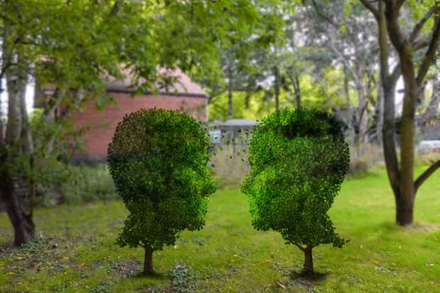 Après-midi festif et conte : la nature dans tous ses états