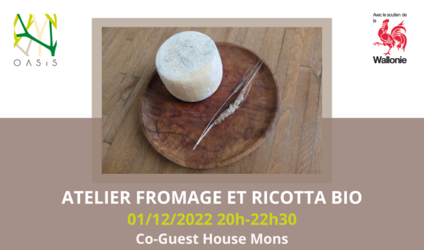 Atelier de valorisation de lait bio en fromages type ricotta et à pâte dure