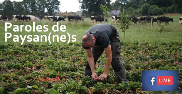 Facebook Live – Web conférence “Paroles de Paysan·nes”