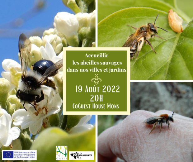 Conférence “Accueillir les abeilles sauvages dans nos villes et nos jardins”
