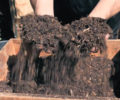 Vidéo sur l’art du compost