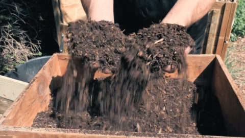 Vidéo sur l’art du compost