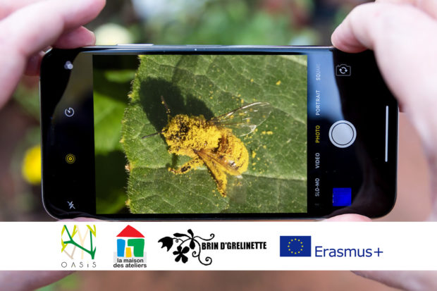 Photo : la biodiversité à travers un smartphone (mai 2023)