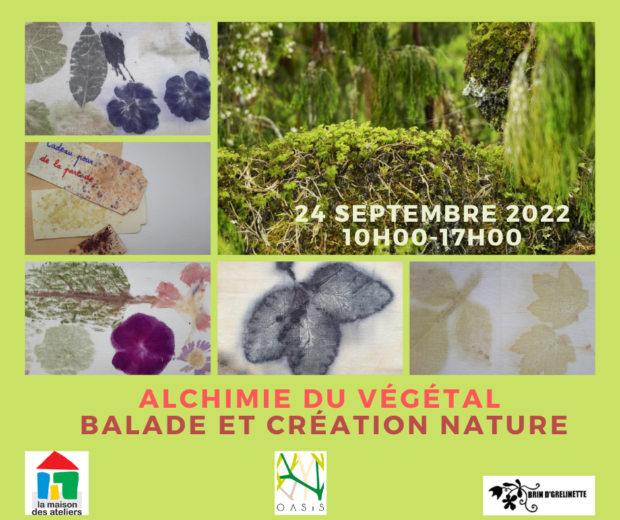 Alchimie du Végétal : Balade et Création Nature sur Tissu et Papier