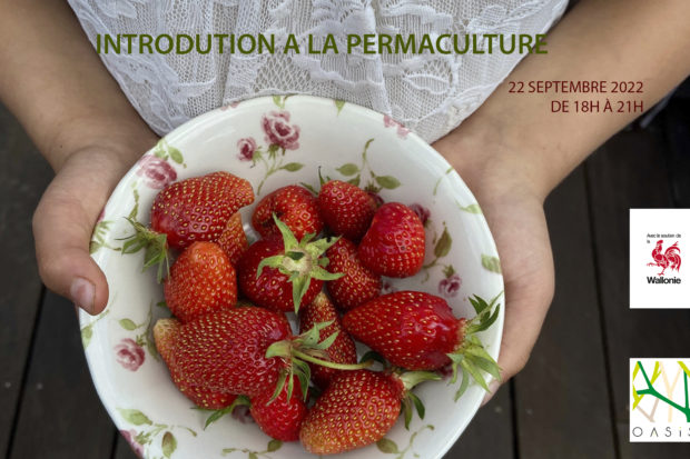Soirée d’introduction à la permaculture