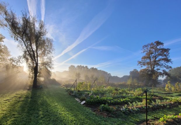 Potager en permaculture – formation longue – saison 2023 Dour **Gratuit pour demandeurs d’emploi**