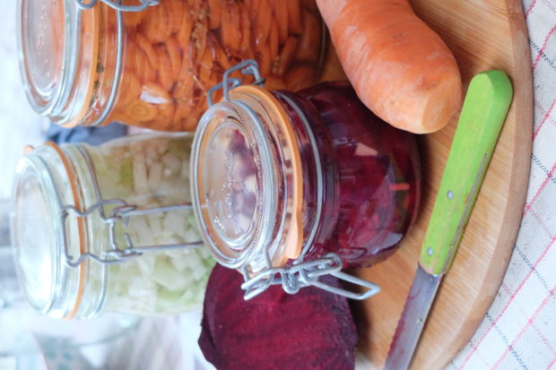 Atelier Lacto-fermentation