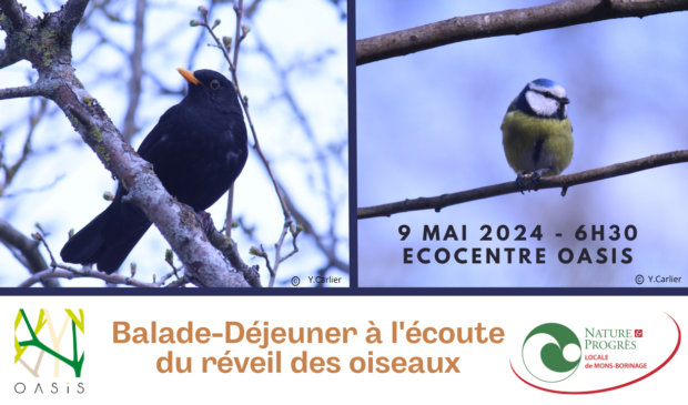 ***Complet*** Balade et déjeuner à l’écoute du réveil des oiseaux
