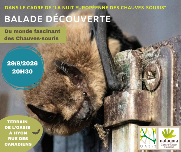 Balade découverte du monde fascinant des chauves-souris