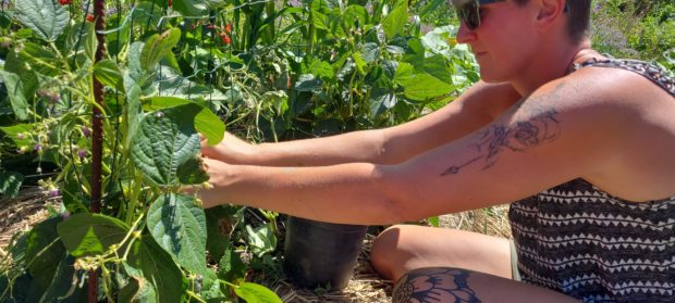 Portes ouvertes des Jardins de l’Oasis – Dour