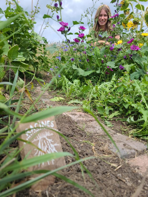 Portes ouvertes des Jardins de l’Oasis – Hyon